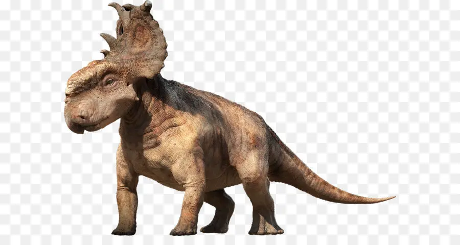 Pachyrhinosaurus，Ceratopsia PNG