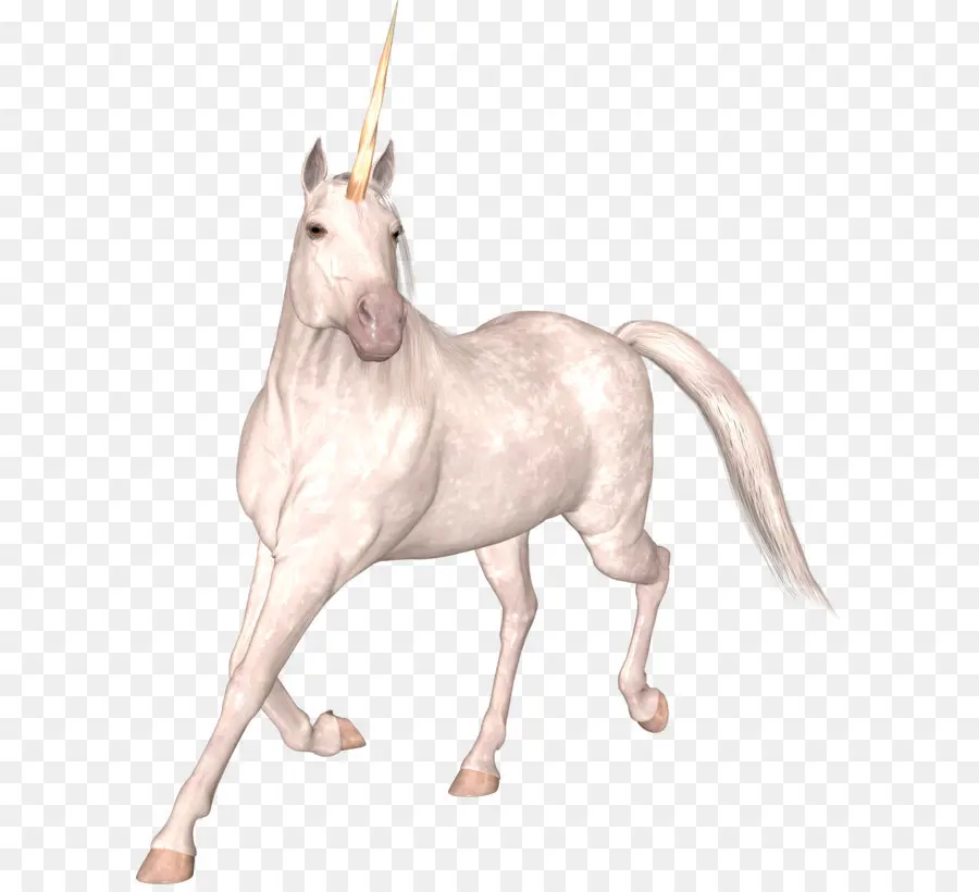 Unicornio Blanco，Mítico PNG