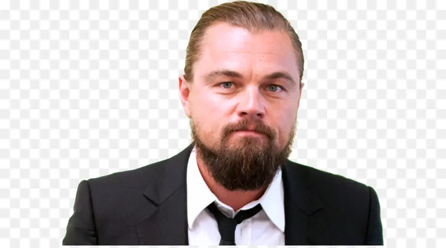 Leonardo Dicaprio，El Lobo De Wall Street PNG