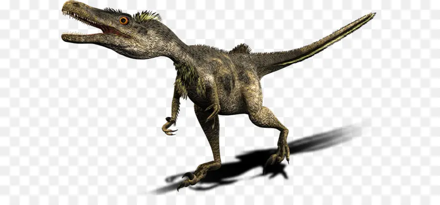 Velociraptor，Tyrannosaurus PNG