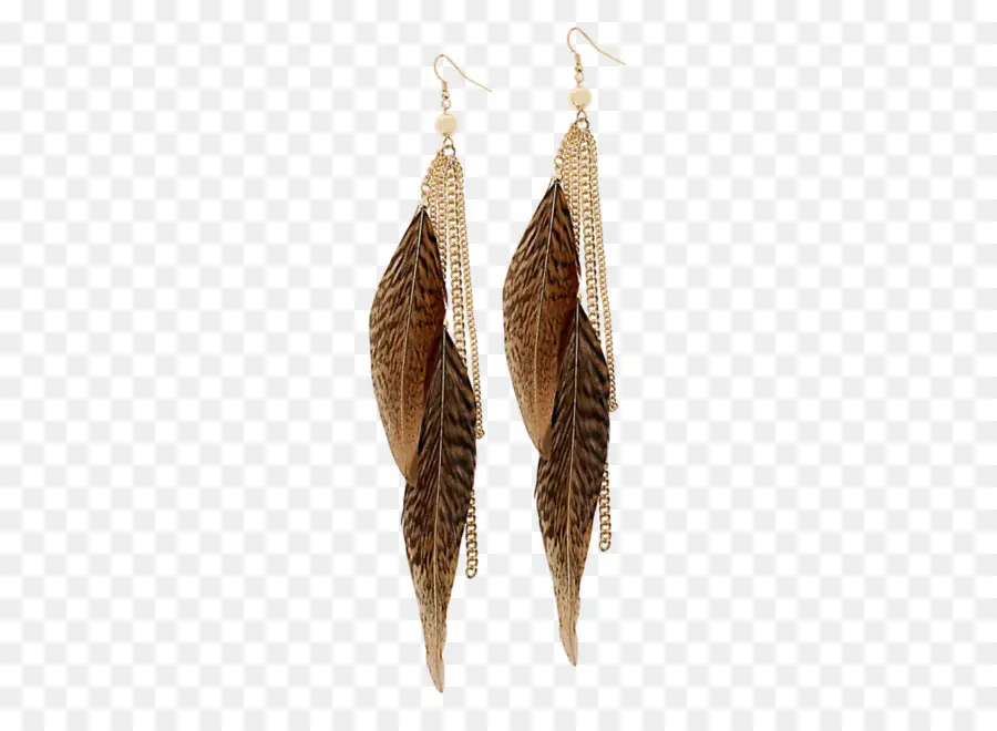 Pendientes De Plumas，Plumas PNG