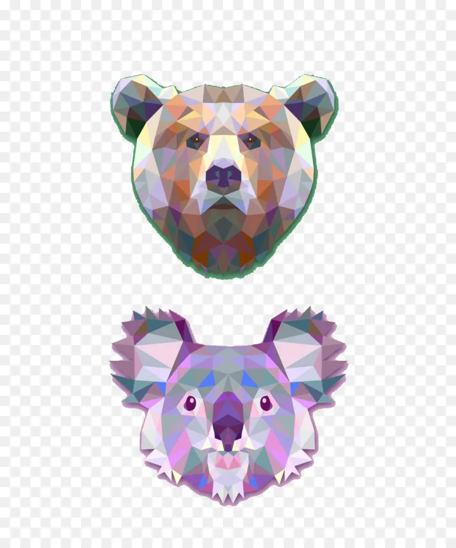 Oso Y Koala，Fauna PNG