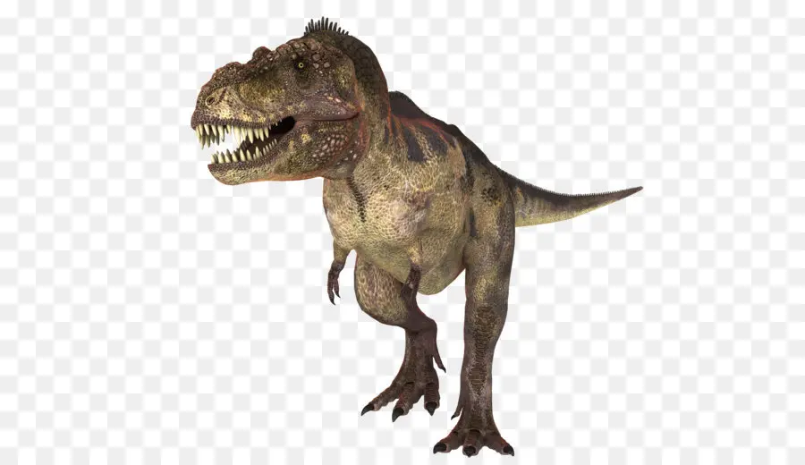 Tyrannosaurus，Gorgosaurus PNG