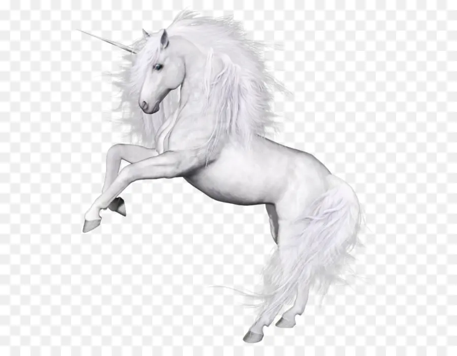 Caballo，Descargar PNG