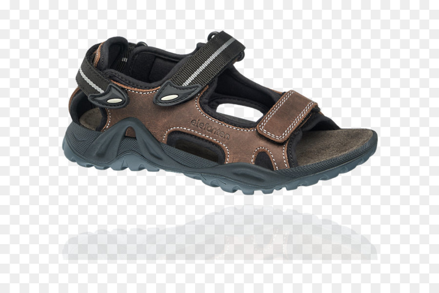 Zapatilla，Sandalia PNG