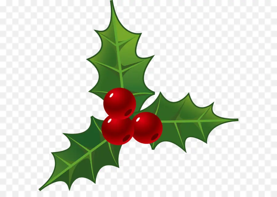 Común Holly，Navidad Decoración PNG