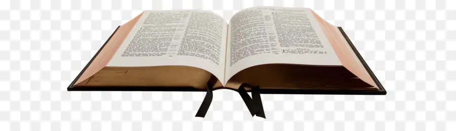 Biblia，Nuevo Testamento PNG