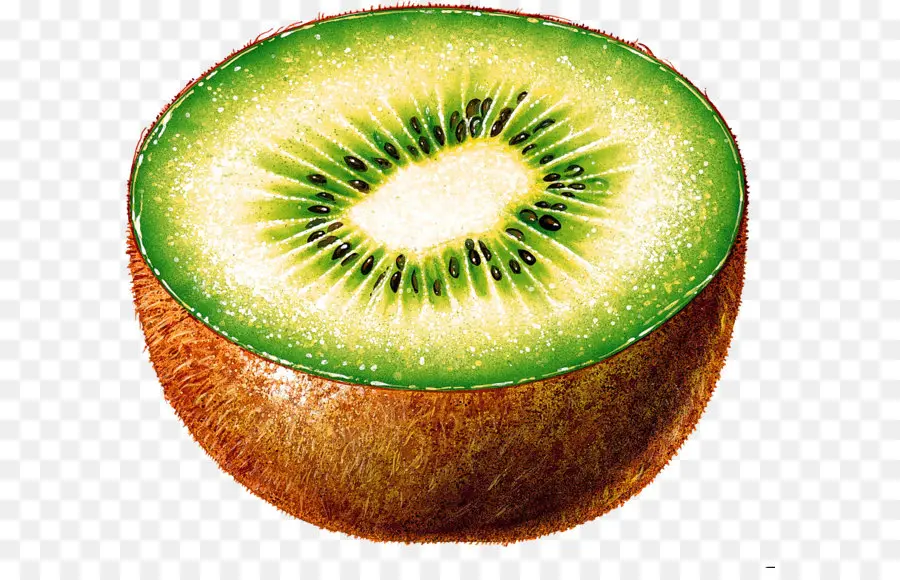 Kiwi，Verde PNG