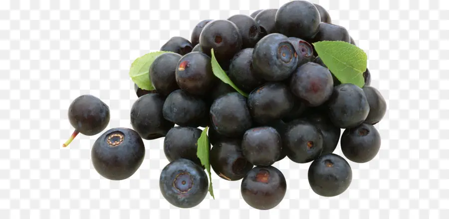 Uvas Negras，Enredadera PNG