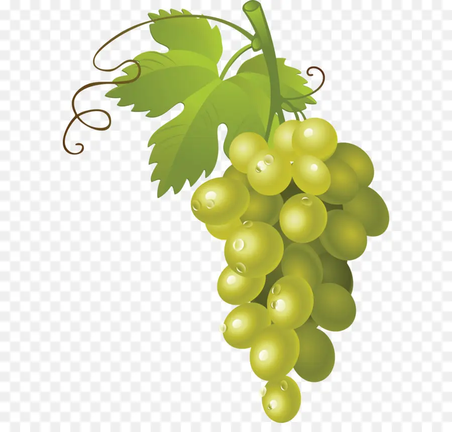 Vino，Nebbiolo PNG