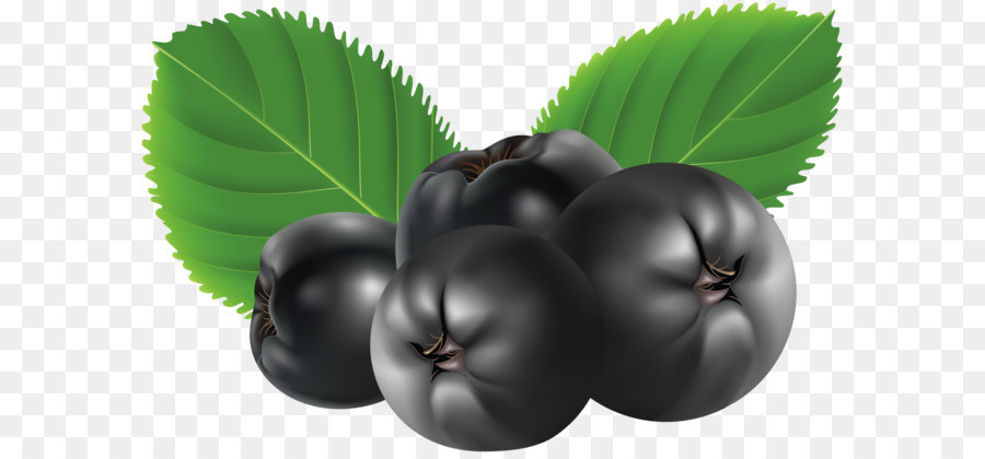 Bayas，Hojas PNG