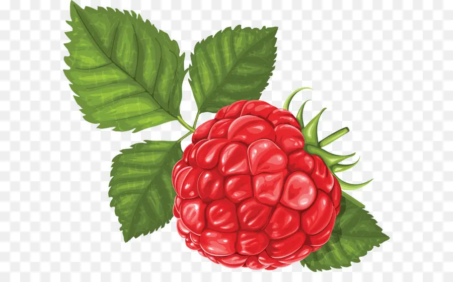 Frambuesa，Berry PNG