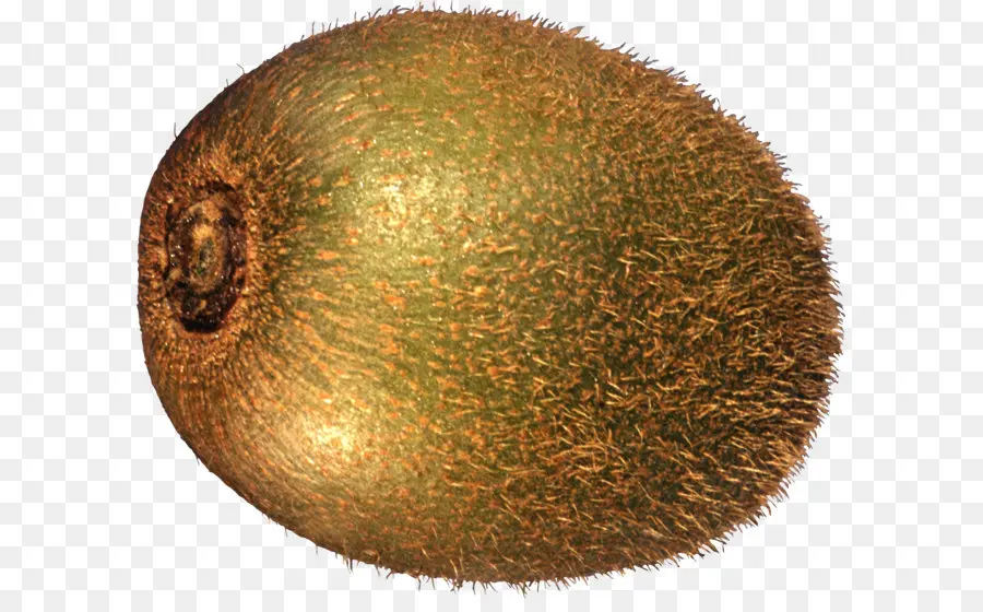 Kiwi，Verde PNG