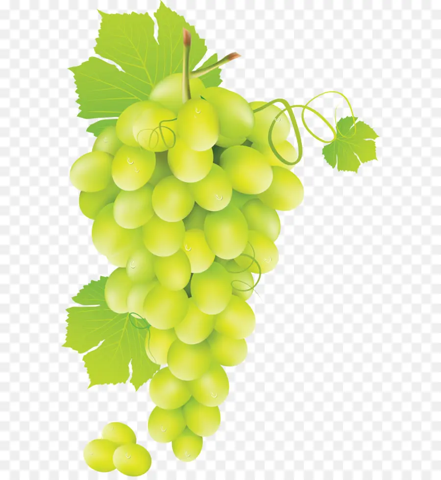 Vino，Uva PNG