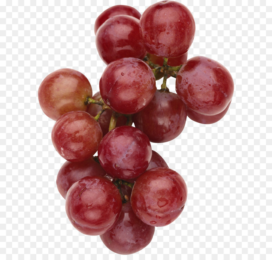 Vino Tinto，Vino PNG