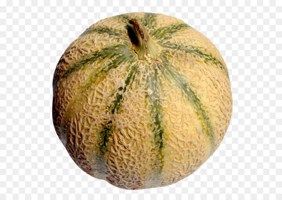 Melón，Cantalupo PNG