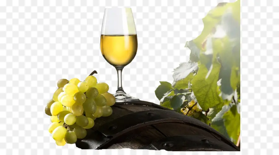 Vino Blanco，Vino Tinto PNG