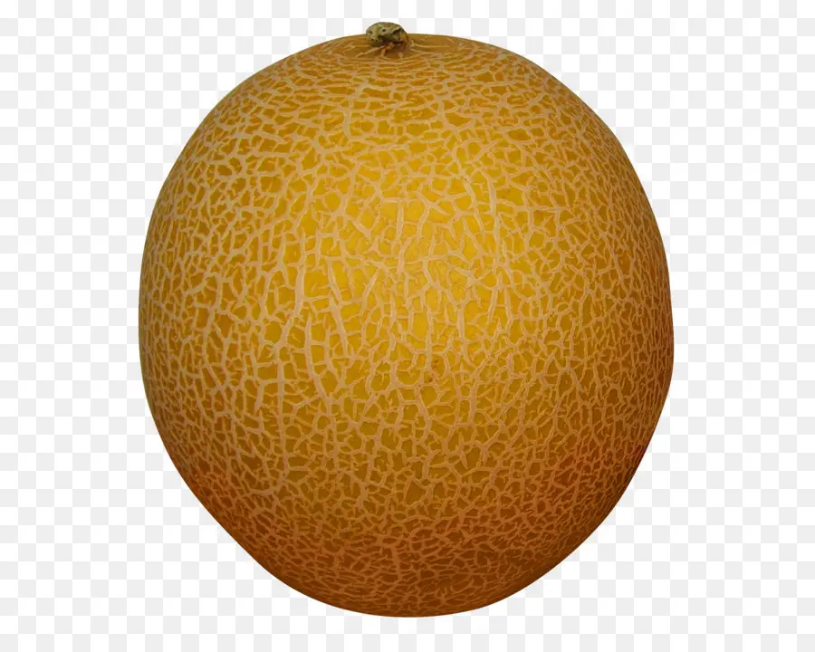 Melón，Cantaloupe PNG