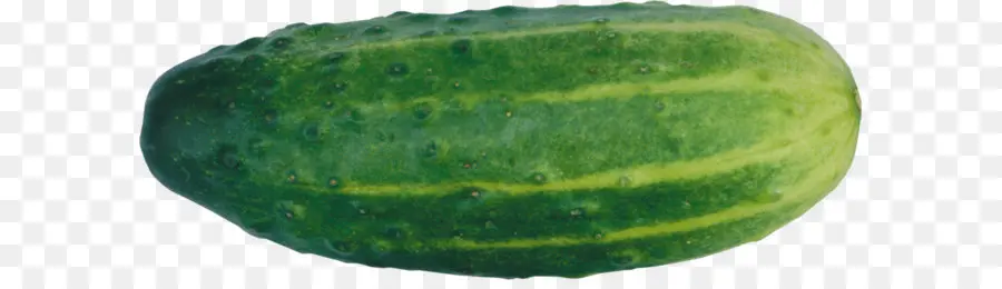 Pepino，Verde PNG