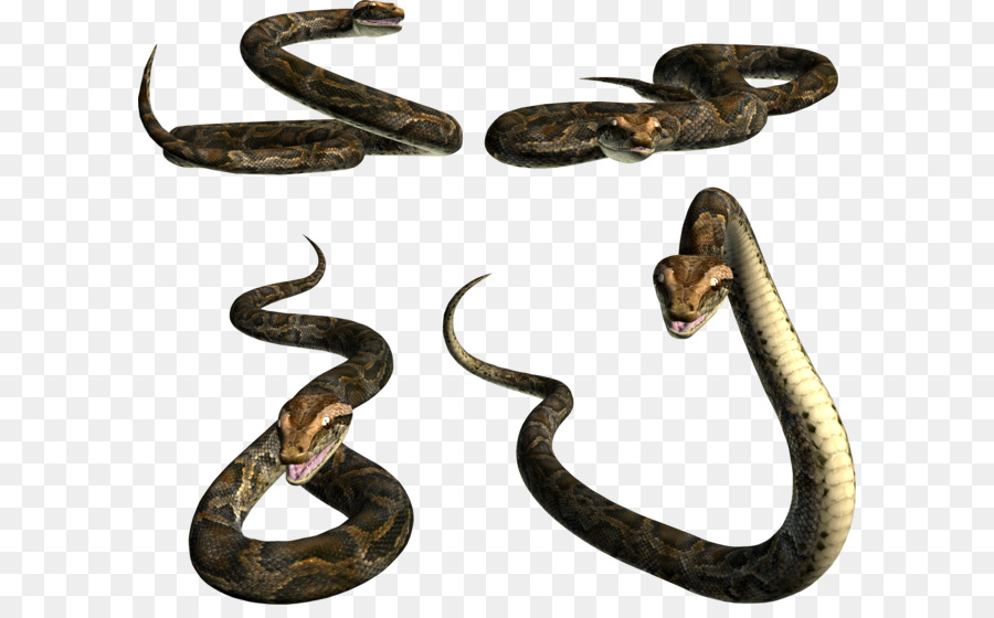 La Serpiente，Descargar PNG