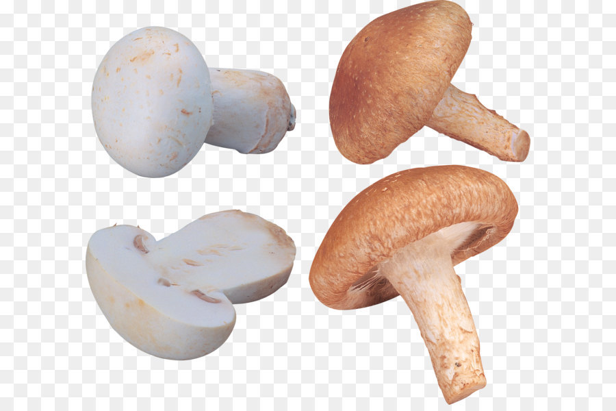 Hongos，Comestible PNG