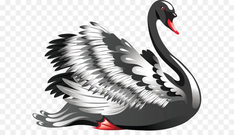 Black Swan，Corazón PNG