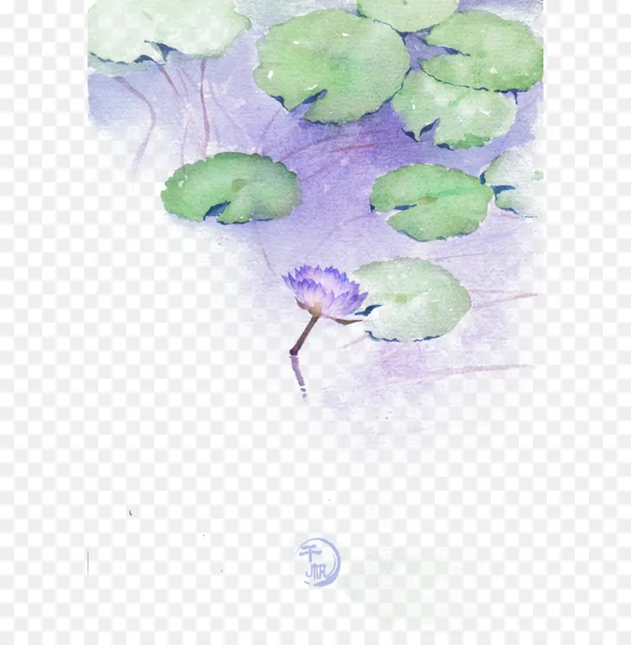 Nelumbo Nucifera，Nenúfares PNG