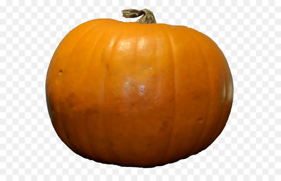 Pastel De Calabaza，Cucurbita Maxima PNG