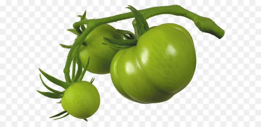 Tomate Verde，Inmaduro PNG