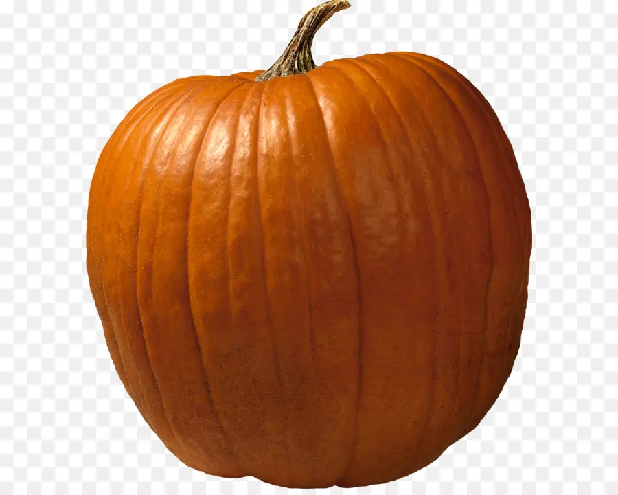 Calabaza El Más Grande，Calabaza Pastel PNG