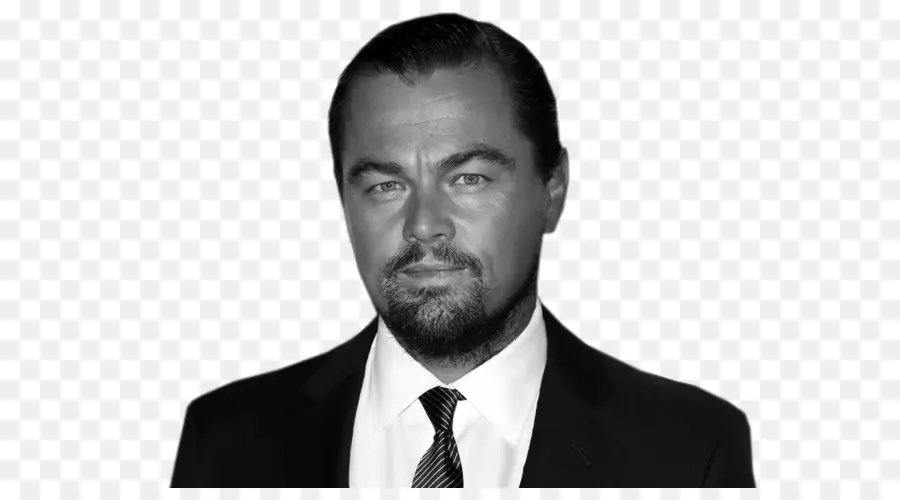 Leonardo Dicaprio，El El Aparecido PNG