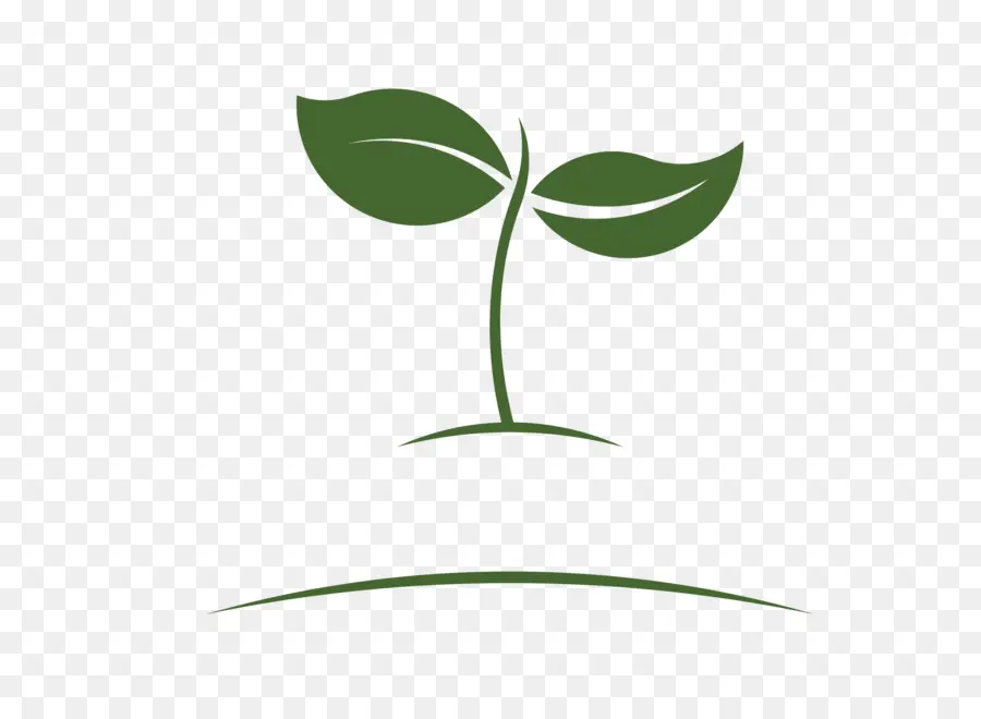 Hoja，Planta PNG