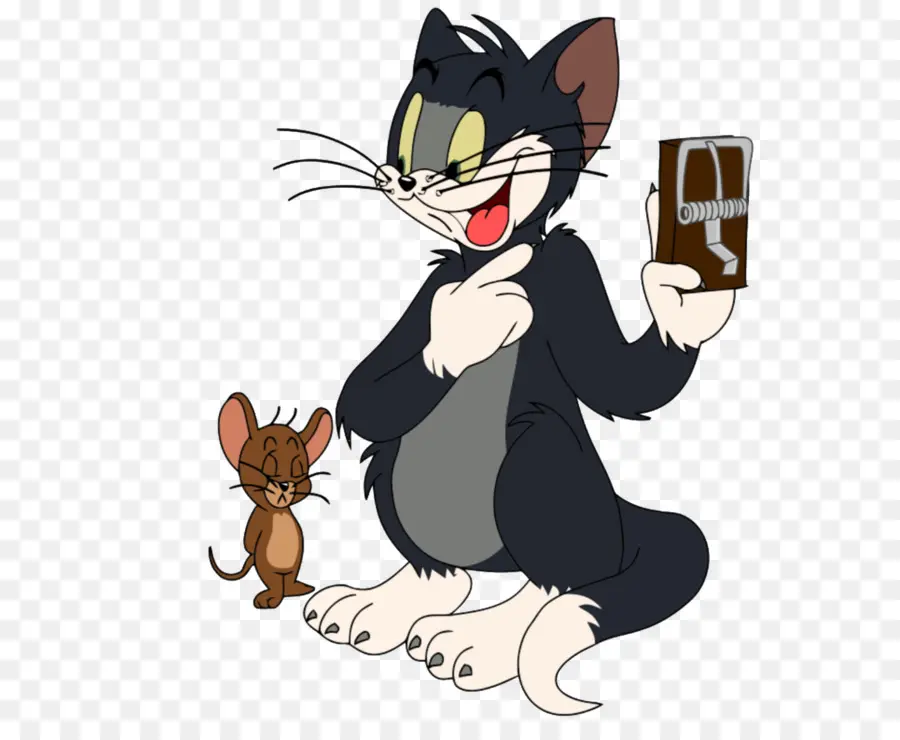 Gato Y Ratón De Dibujos Animados，Tomás PNG