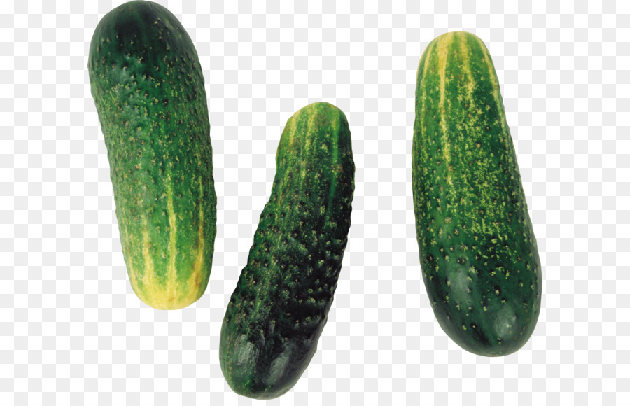 Pepino，Encurtido De Pepino PNG