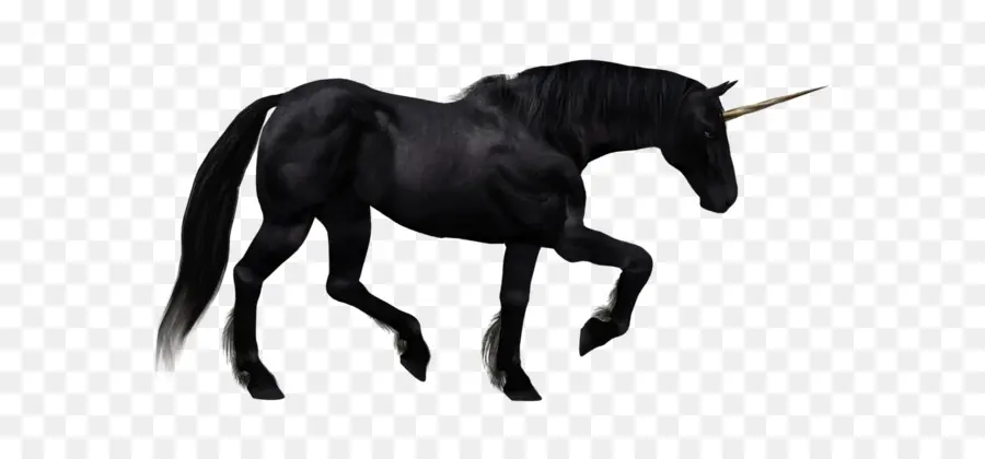 Caballo Frisio，Caballo De Pintura Americano PNG