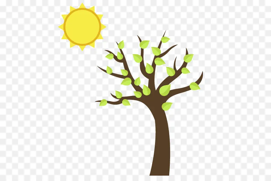 árbol Y Sol，Hojas PNG