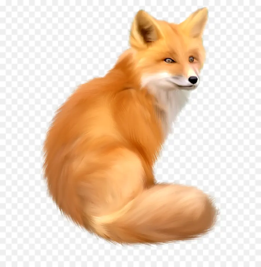 Fox，Descargar PNG