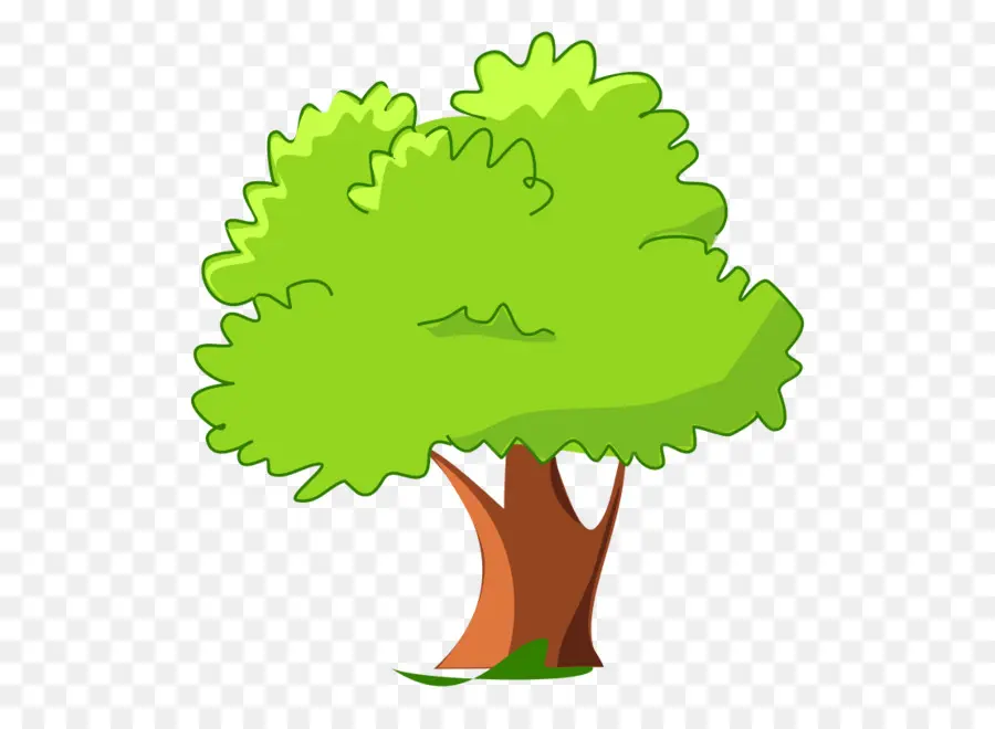 Árbol，Planta PNG