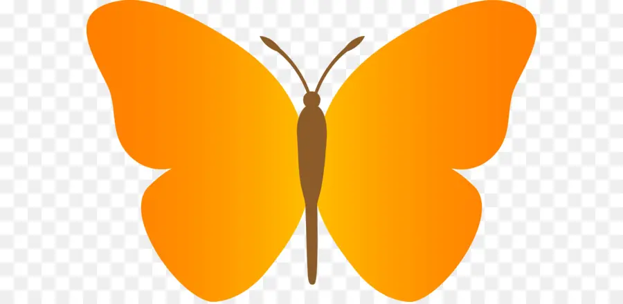 Mariposa，Blog PNG