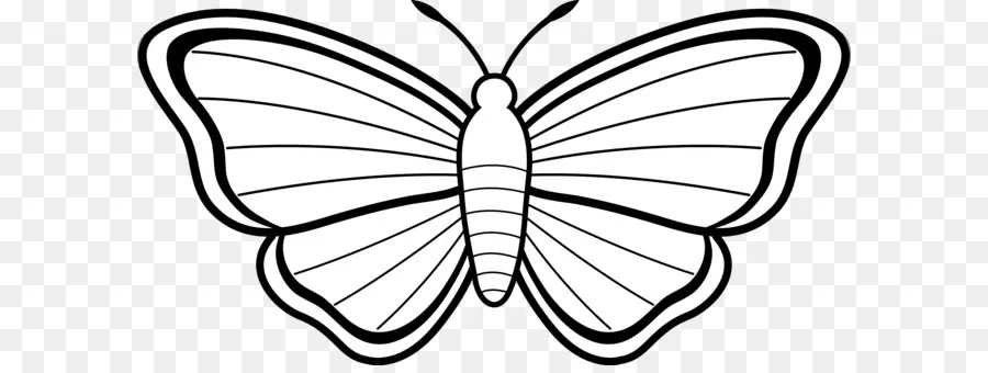 Mariposa，Libro De Colorear PNG