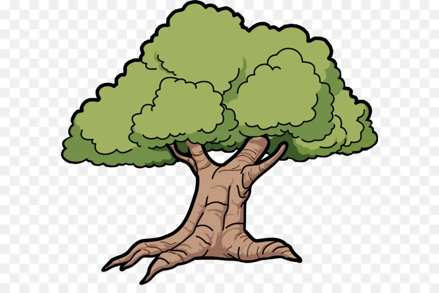 Roble，Árbol PNG