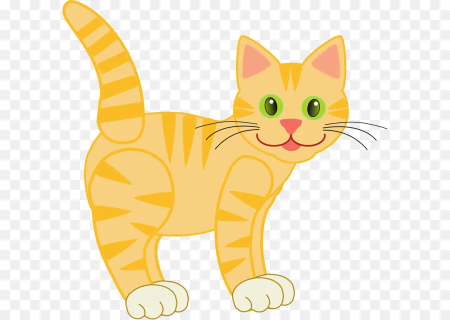 Gato Naranja De Dibujos Animados，Gato PNG