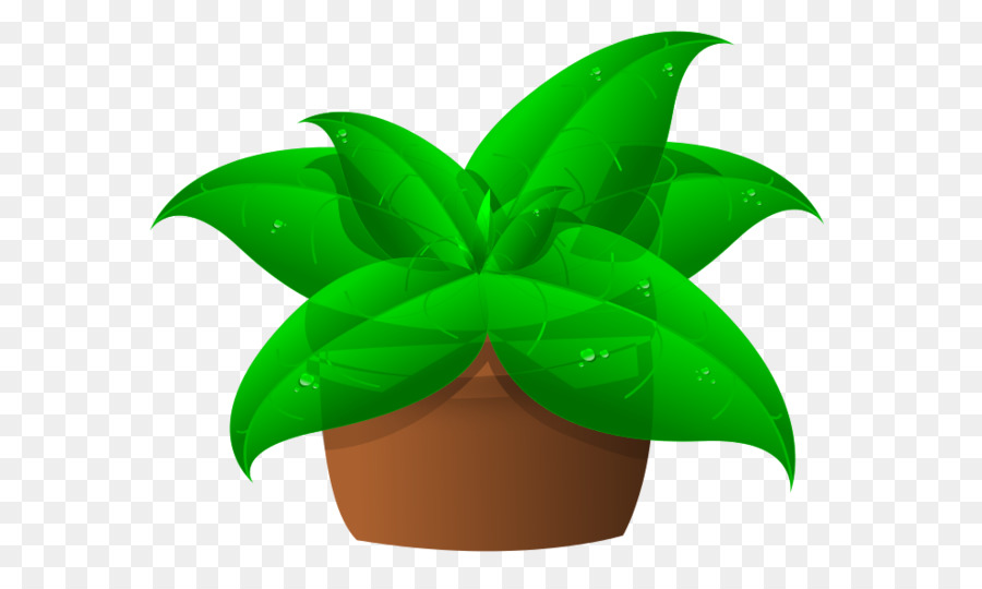 Planta，Planta De Interior PNG