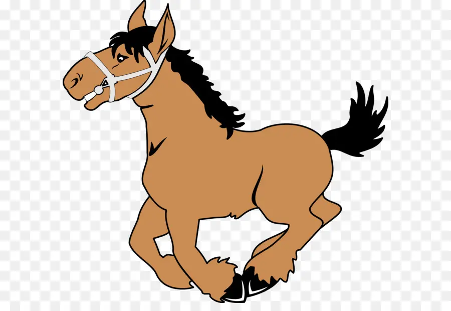 Caballo，Pony PNG