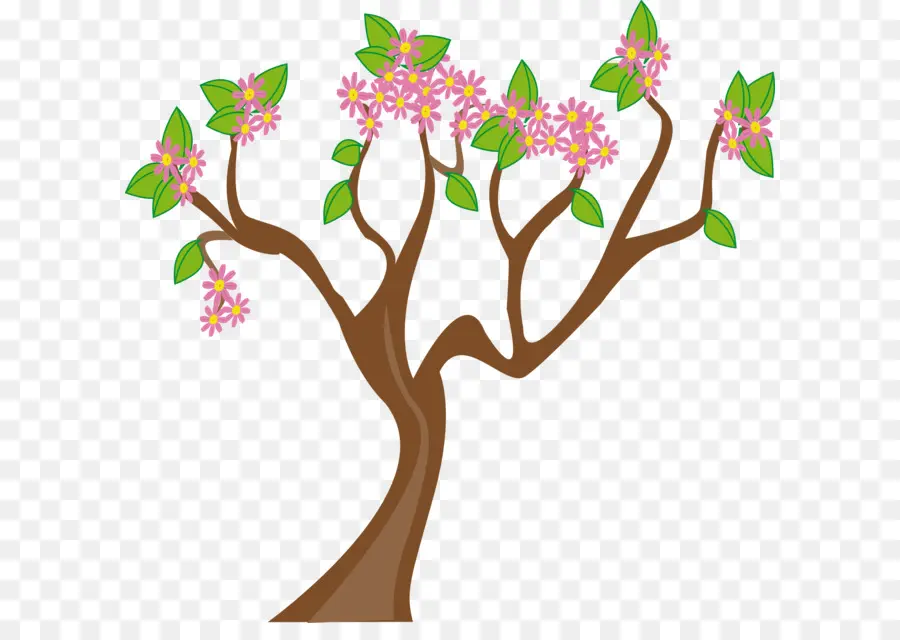 La Primavera，Árbol PNG