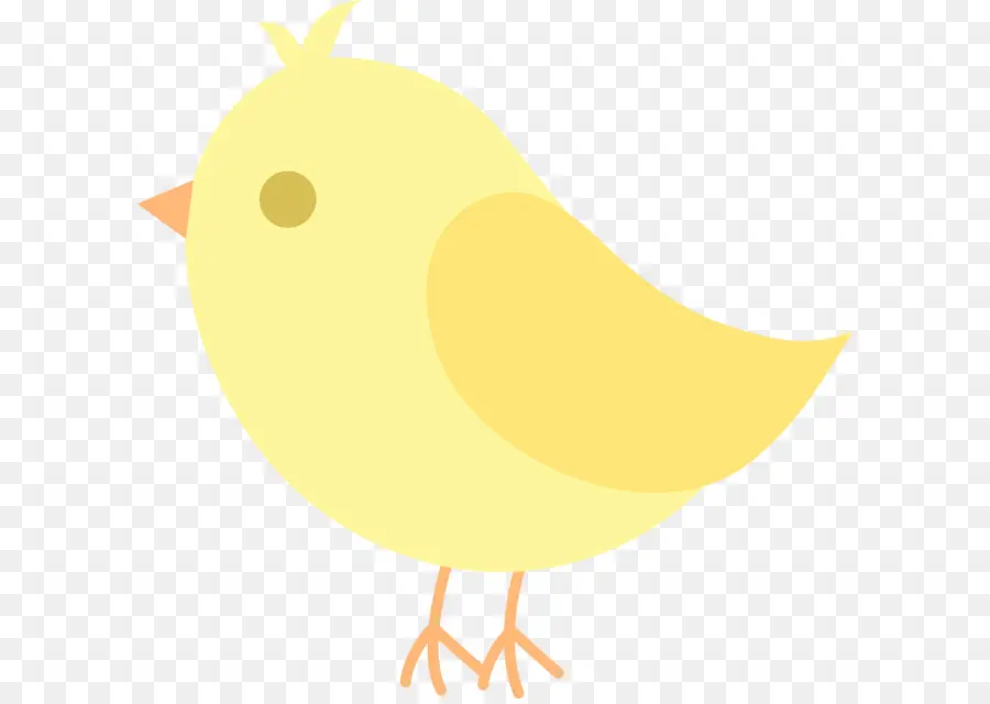 Pollo，Pájaro PNG