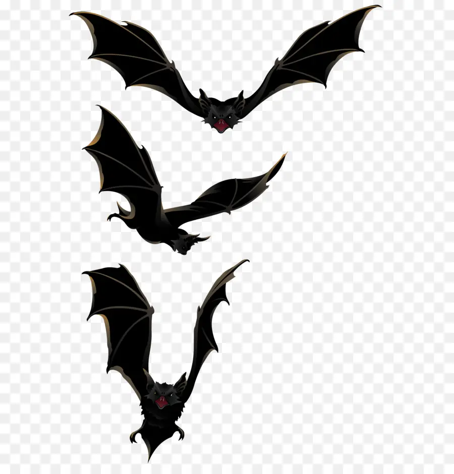 Halloween，Bat PNG