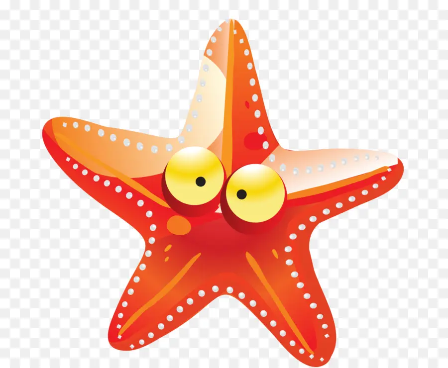 Estrella De Mar，De Dibujos Animados PNG