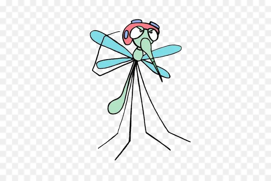 Mosquito，Mosquitera PNG