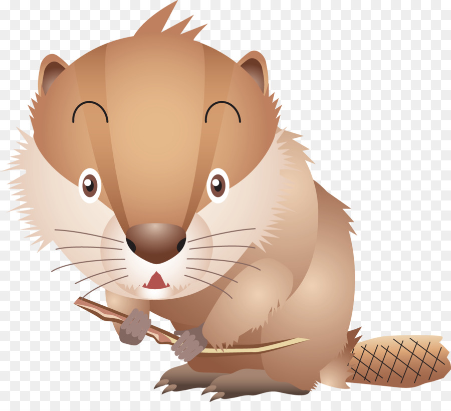 El Ratón De La Computadora，Beaver PNG